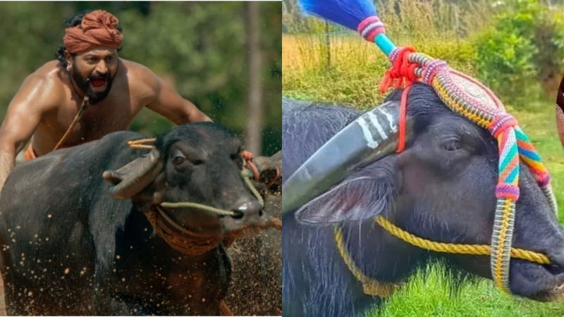 Kantara Kona Appu