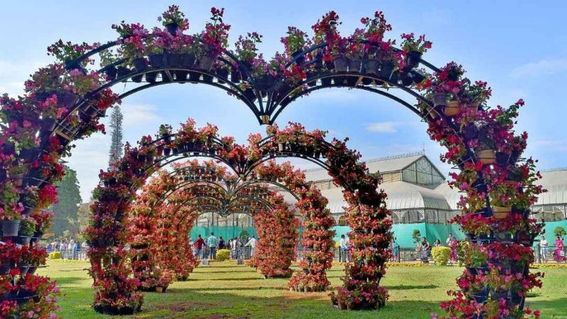 Lalbagh Flower Show 3