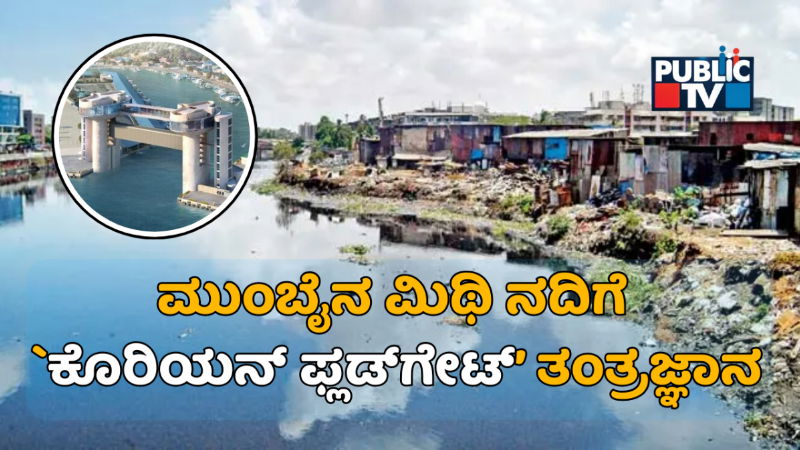 Mumbai Mithi River