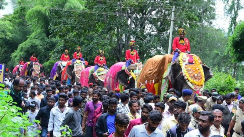 Mysuru Dasara Gajapayana 3
