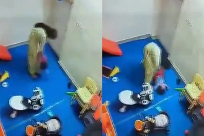 Noida DayCare