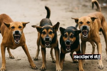 Stray Dogs 3