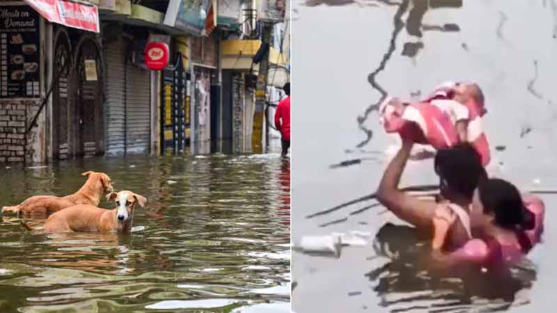 UP Flood