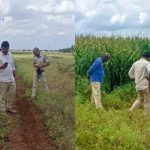 davanagere leopard attacks on farmer