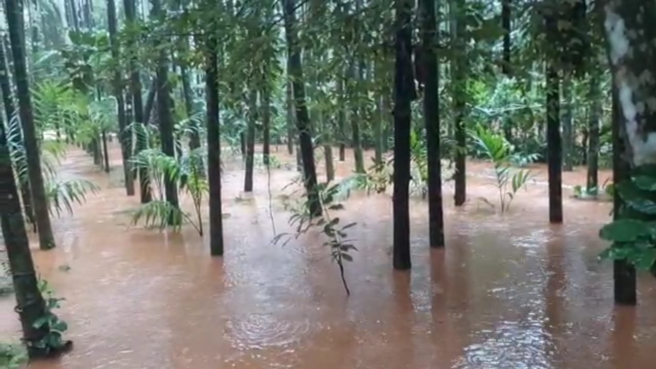 uttara kannada rain 1