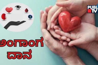 world organ donation