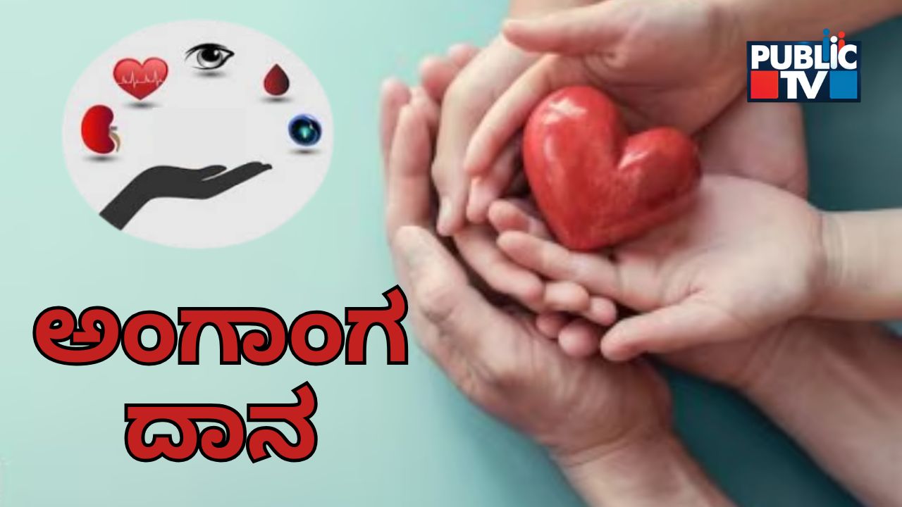 world organ donation