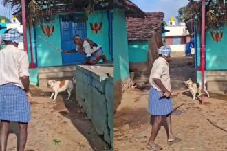 Anekal Dog Attack
