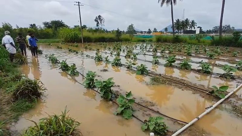 Chikkaballapura 3 1