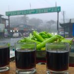 Chikkamagaluru Coffee
