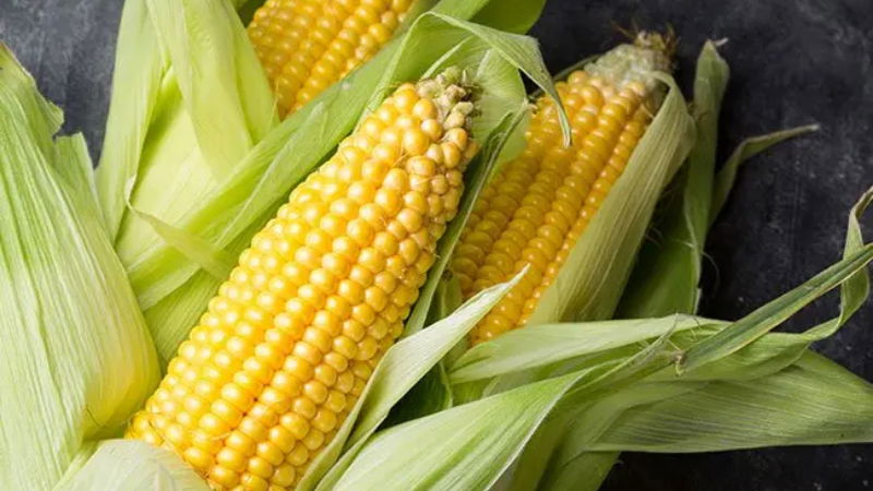 Corn