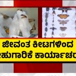 Dharwad Krishi Mela