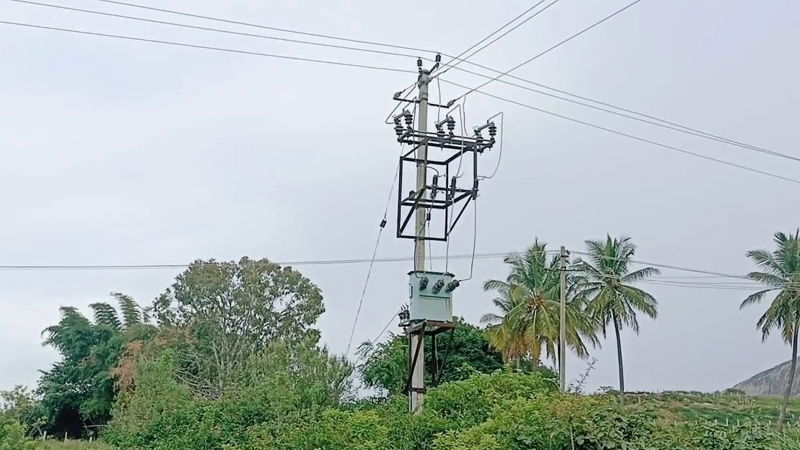 Electric Poll