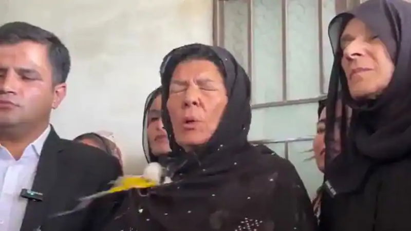 Imran Khan Sister