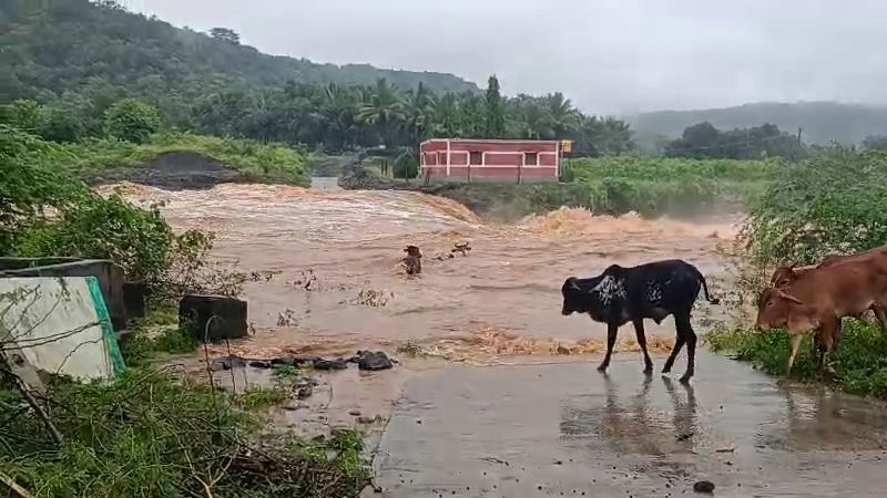 Kalaburagi Rain