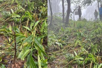 Kodagu 2