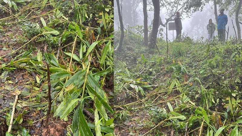 Kodagu 2