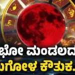 Lunar Eclipse 4