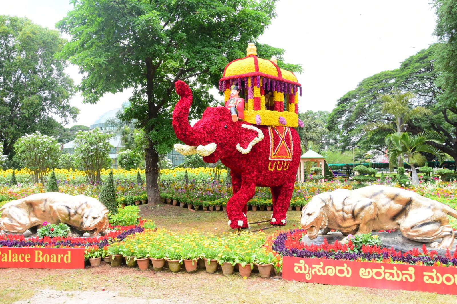 Mysuru Dasara 15