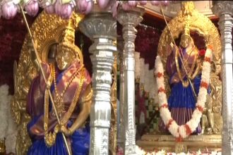 Mysuru Dasara Chamundi Goddess In Blue Saree