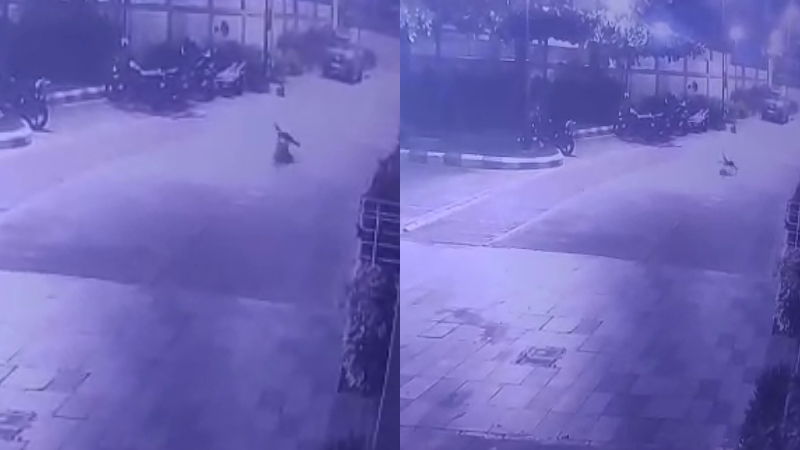 Nelamangala Suicide
