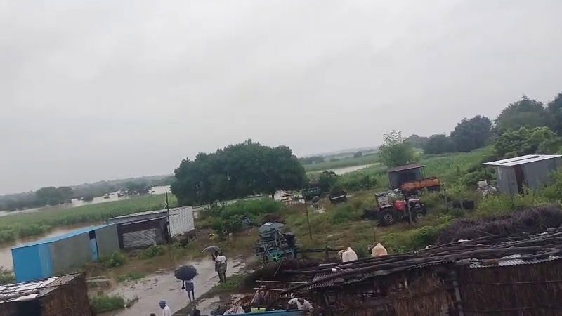 Rain