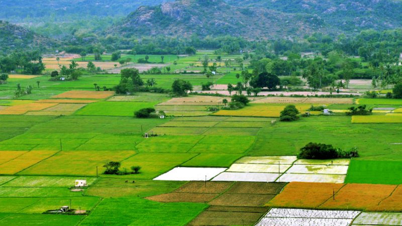 Satnavri Smart Project