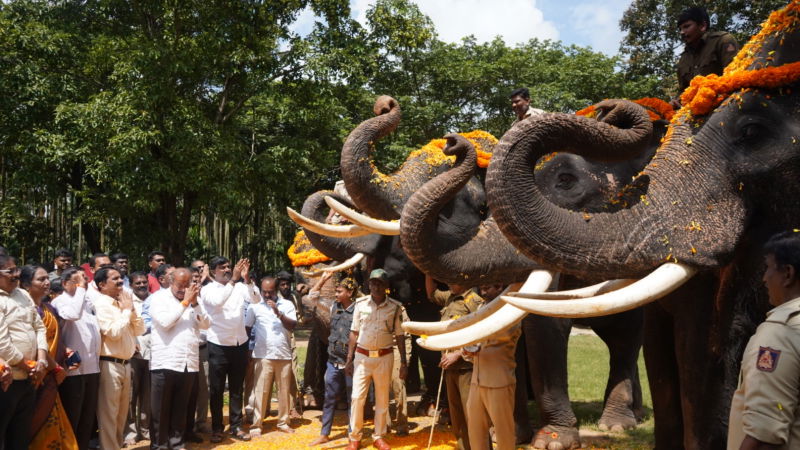 Shivamogga Dasara 1