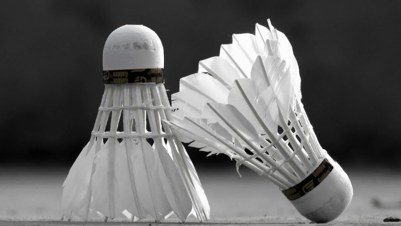 Shuttle Cock