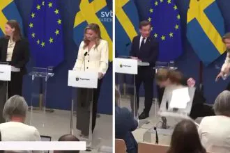 Sweden New Health Minister
