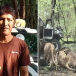 Thailand Zoo Keeper Killed By lions