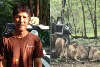 Thailand Zoo Keeper Killed By lions