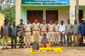 sandalwood theft 1 arrested with 33 sandalwood piece in Male Mahadeshwara Hills
