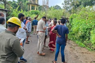 tree falls near anganwadi pregnant woman dies five others including 4 children seriously injured in yellapur kiravatti