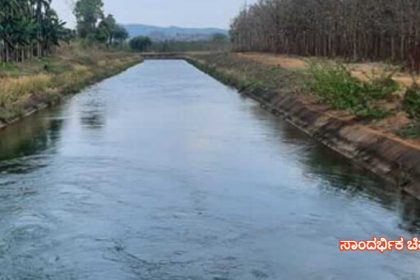 Bhadra Canal 1