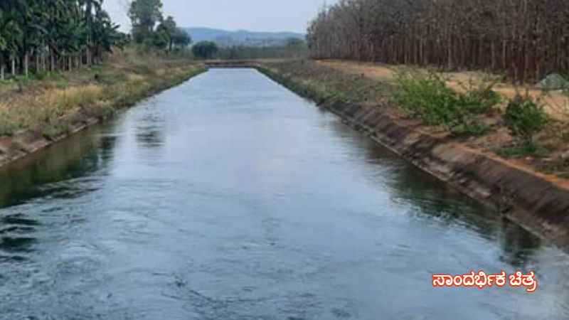 Bhadra Canal 1
