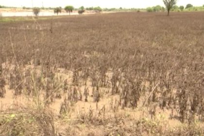 Bidar Flood