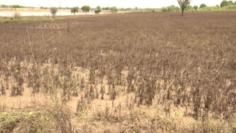 Bidar Flood