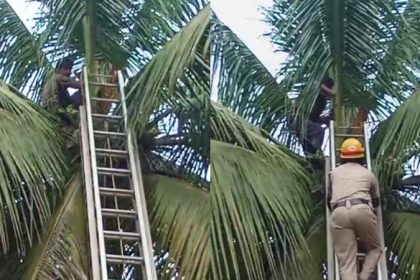 ಕಳ್ಳ ಎಂದು ಅಟ್ಟಾಡಿಸಿದ ಗ್ರಾಮಸ್ಥರು - ಭಯದಿಂದ ತೆಂಗಿನ ಮರವೇರಿ ಕುಳಿತ ಯುವಕ 13 Gadag Thief