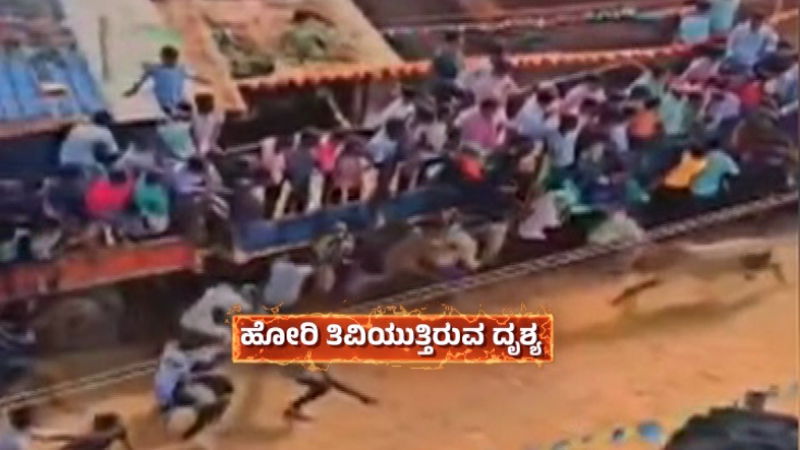 ಹಾವೇರಿ | ಬೆದರಿಸುವ ಸ್ಪರ್ಧೆಯಲ್ಲಿ ಹೋರಿ ತಿವಿದು ಮೂವರು ದುರ್ಮರಣ 4 Haveri