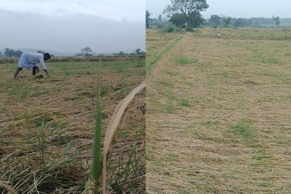 Koppal Rain Effect