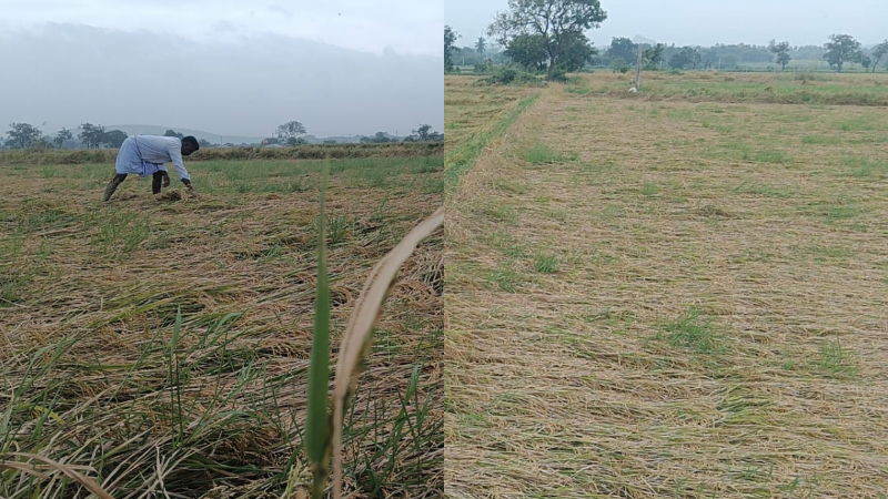 Koppal Rain Effect