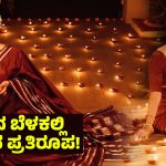 Nabha Natesh