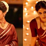 Nabha Natesh