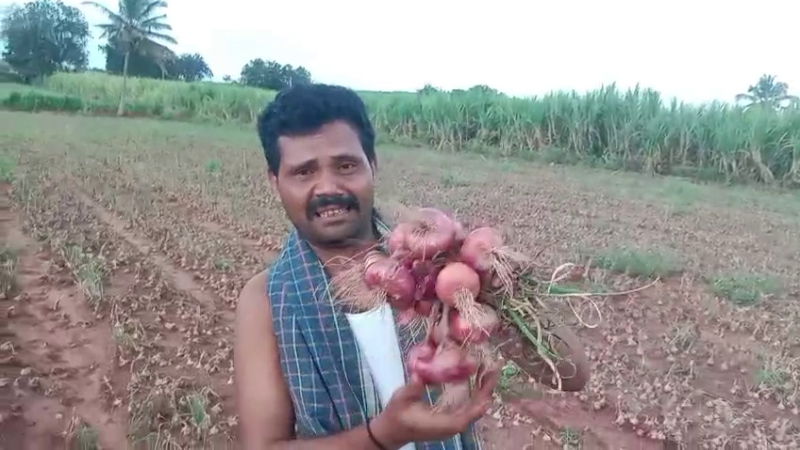 Onion price 2