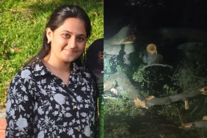 Soladevanahalli Tree Fall Keerthana