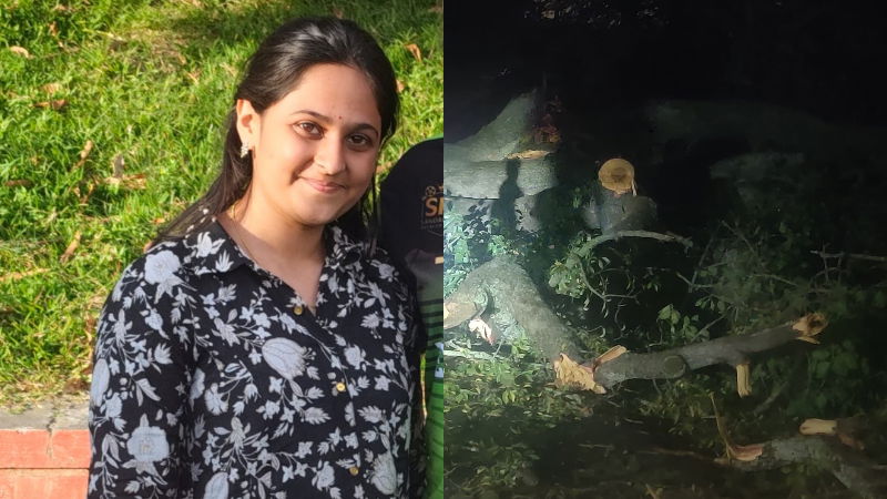 Soladevanahalli Tree Fall Keerthana