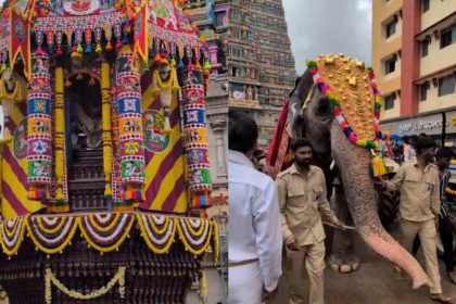 Sri Sharadamba Maha Rathotsava and Adda Pallaki Utsava 1