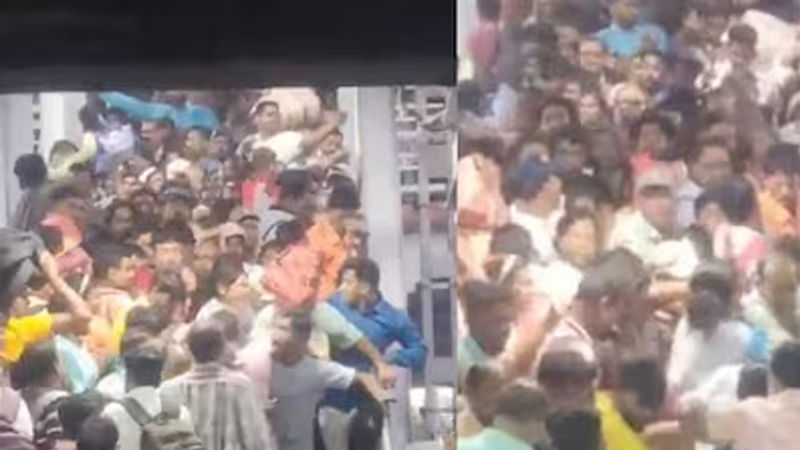 Stampede