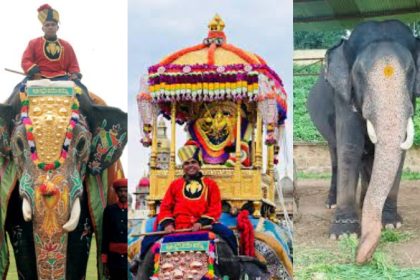 abhimanyu elephant mysuru dasara